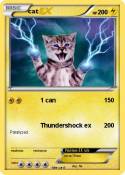 cat