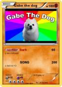 Gabe the dog