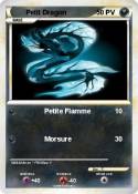 Petit Dragon