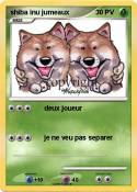 shiba inu jumea