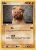 Pitbul