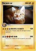 The jack cat