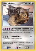 chats mimi