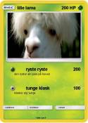 lille lama