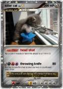 killer cat