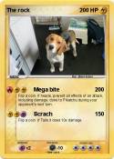 The rock