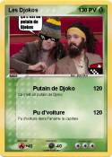 Les Djokos