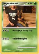 berger allemand