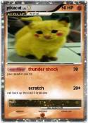 pikacat