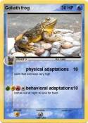 Goliath frog