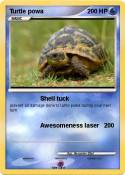 Turtle powa