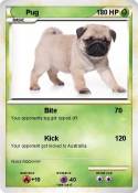 Pug