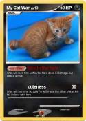 My Cat Wan