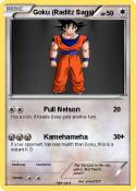 Goku (Raditz