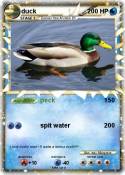 duck