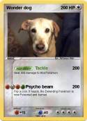 Wonder dog