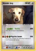 Wonder dog