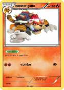 bowser gatto