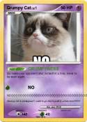 Grumpy Cat
