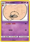 brain mokey