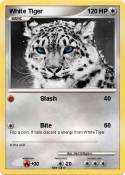 White Tiger