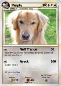 Murphy