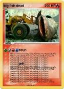 big fish dead