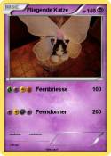 Fliegende Katze