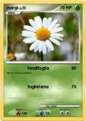margi