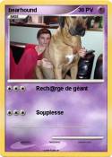 bearhound