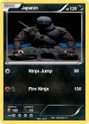 Japanin