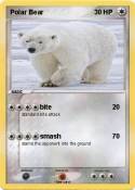 Polar Bear