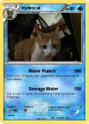 Hydrocat