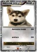 AWESOME DOG