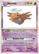 Shedninja