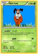 duck hunt