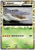 alligatore