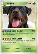 torterra