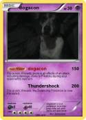 dogacon