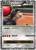 MONKEY!