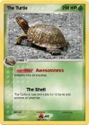 The Turtle
