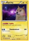 Doge Dog