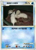 BEBE CHIEN