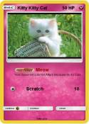 Kitty KItty Cat