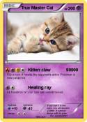 True Master Cat