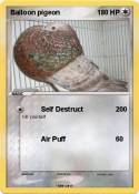 Balloon pigeon