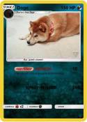 Doge
