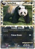 Panda Bear