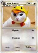 Chat Poussin