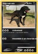 loup noir mix